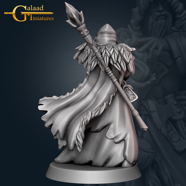 Northern Wizard